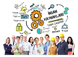 İnsan Kaynakları